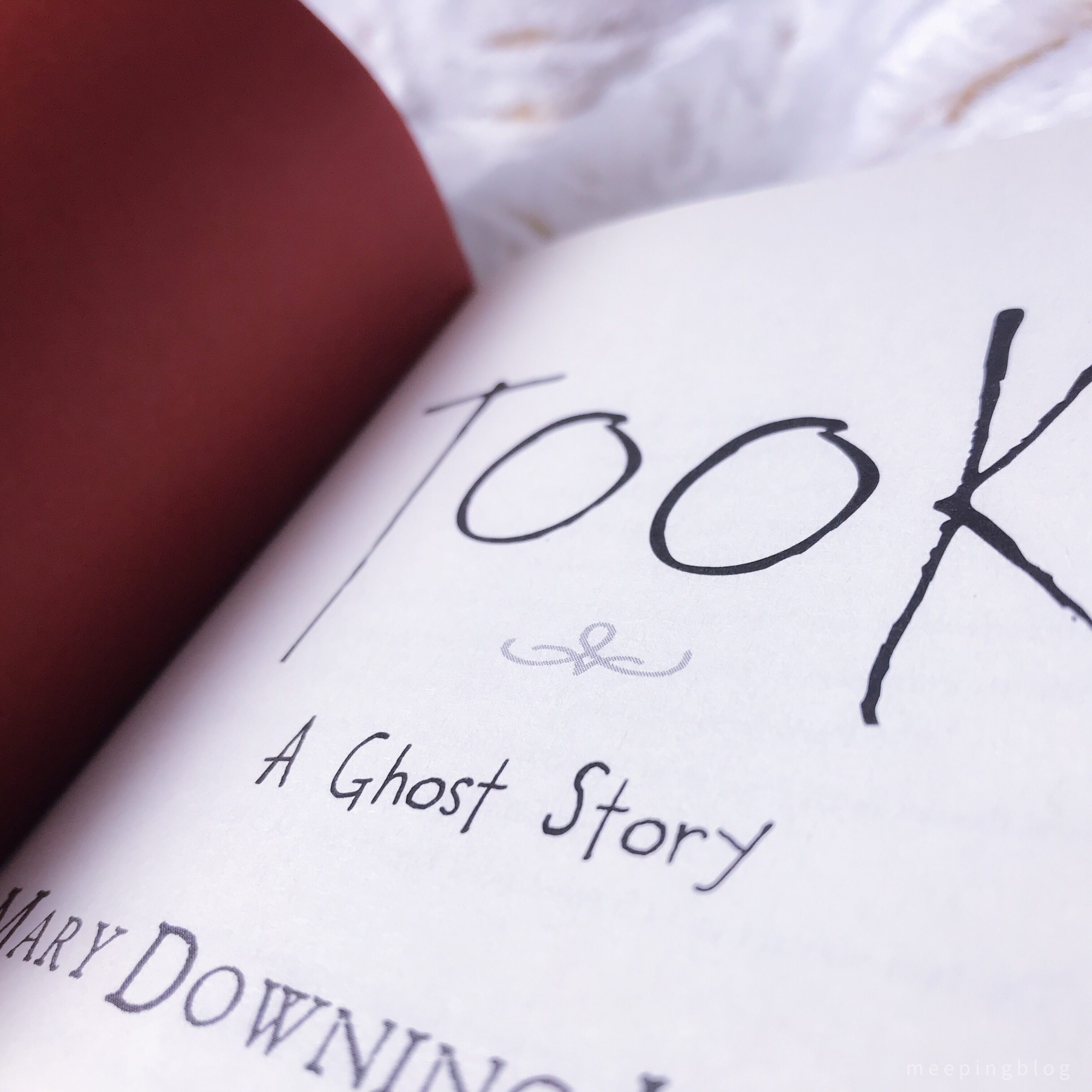 Took: A Ghost Story | Book Review